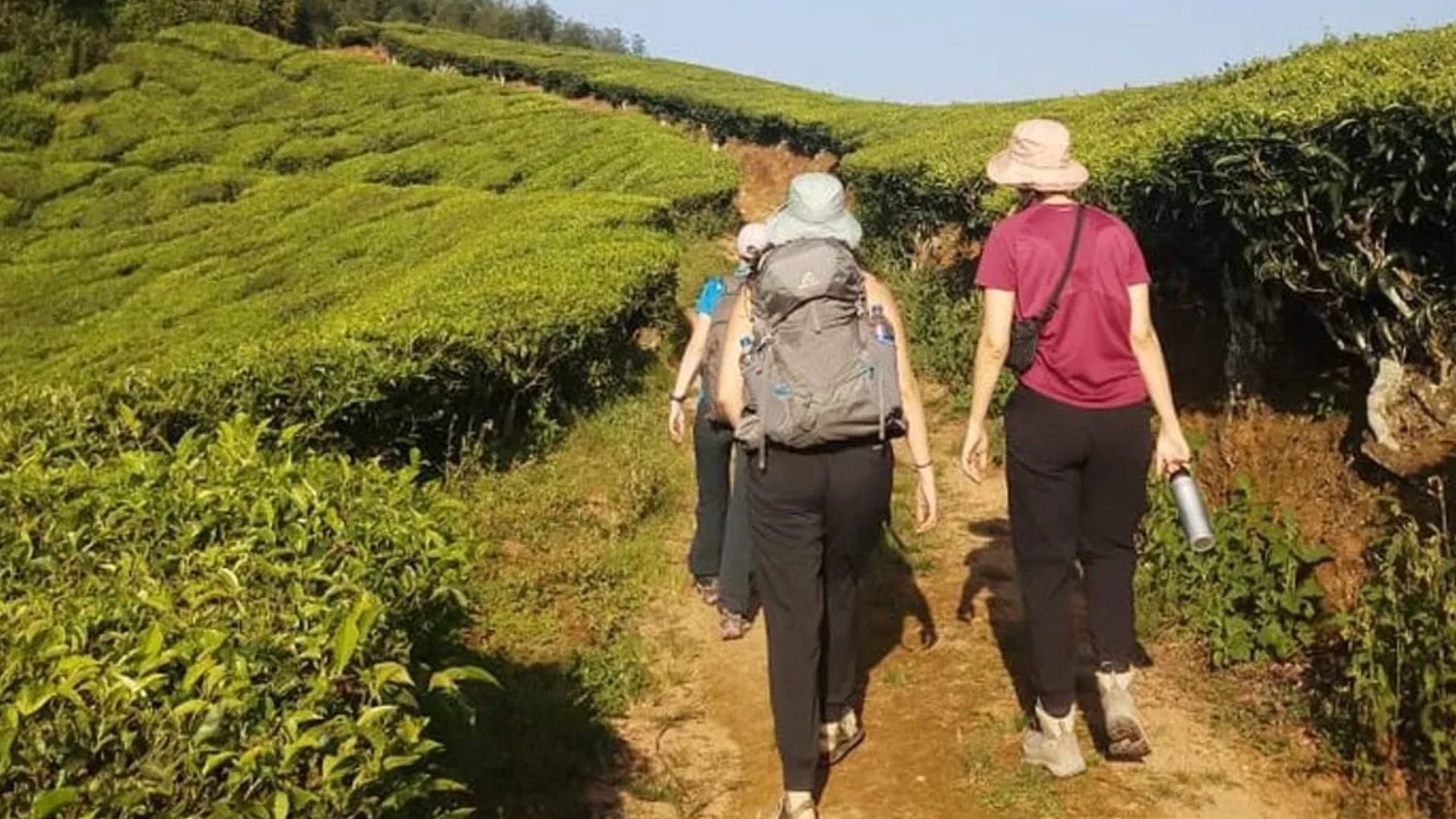 bose-peak-trek-munnar-holiday