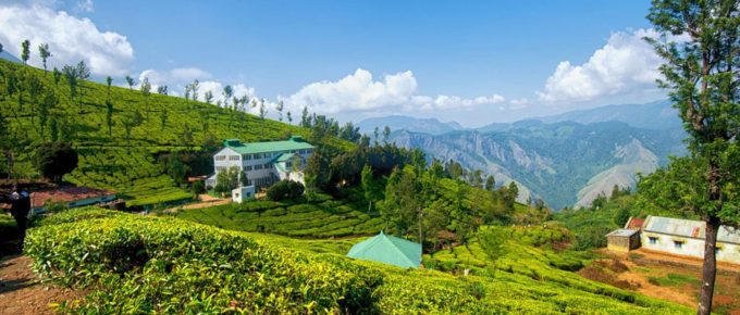 kolukkumalai-tea-estate