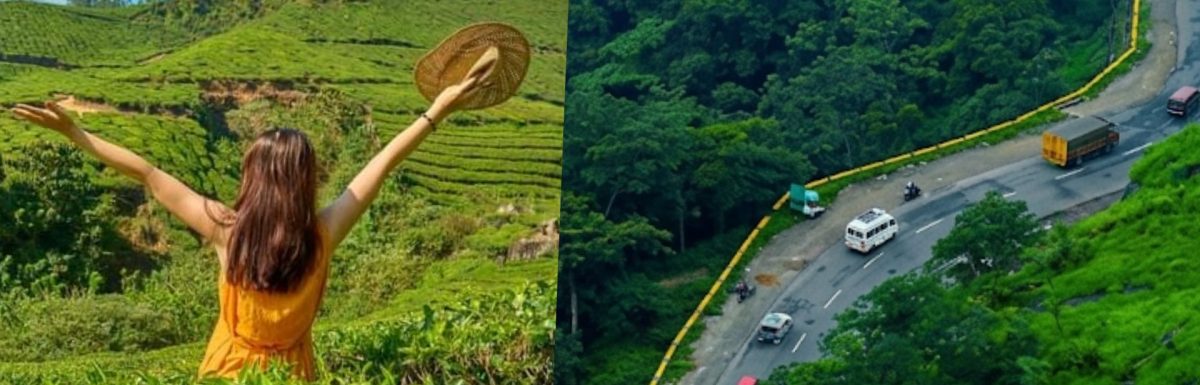 Munnar vs Wayanad: Which Kerala Hill Station Is Better for You in 2026?