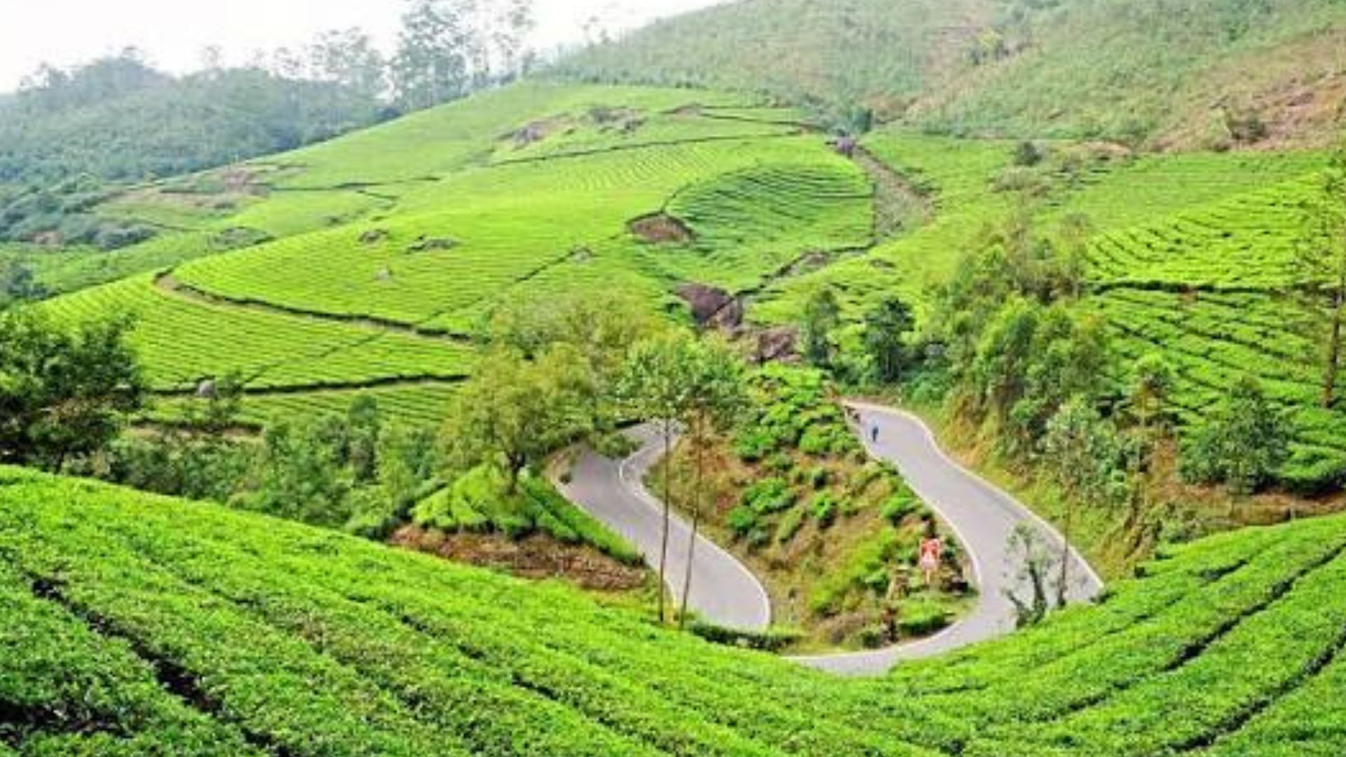 anchal-munnar