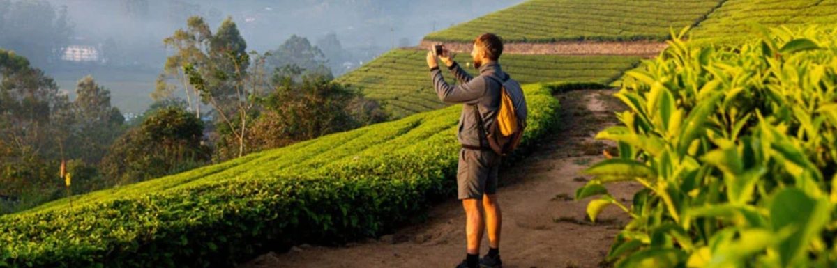 What to Wear in Munnar By Month: Your Complete Guide for a Comfortable Trip