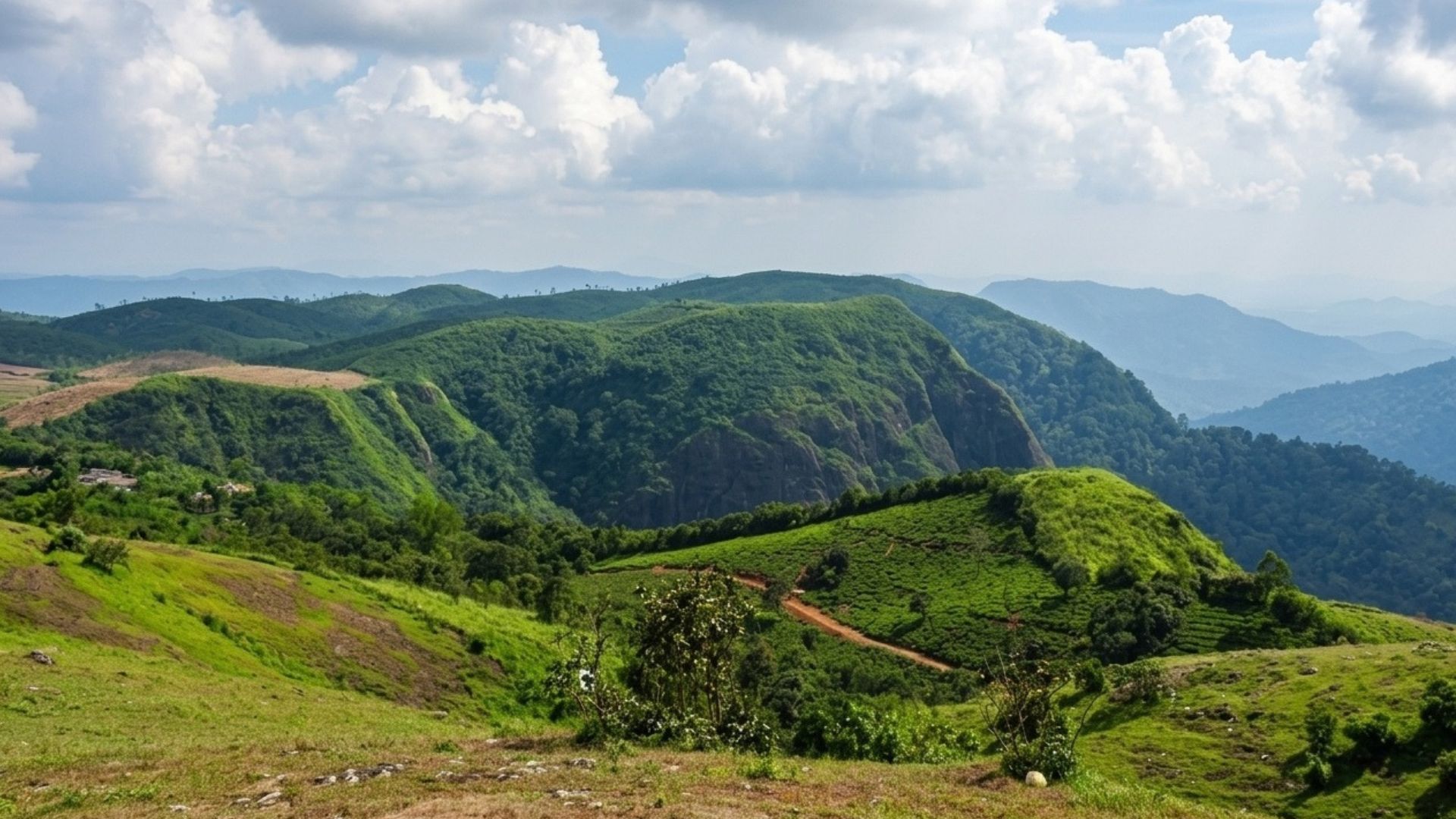 kuttikanam-peru-hills-image