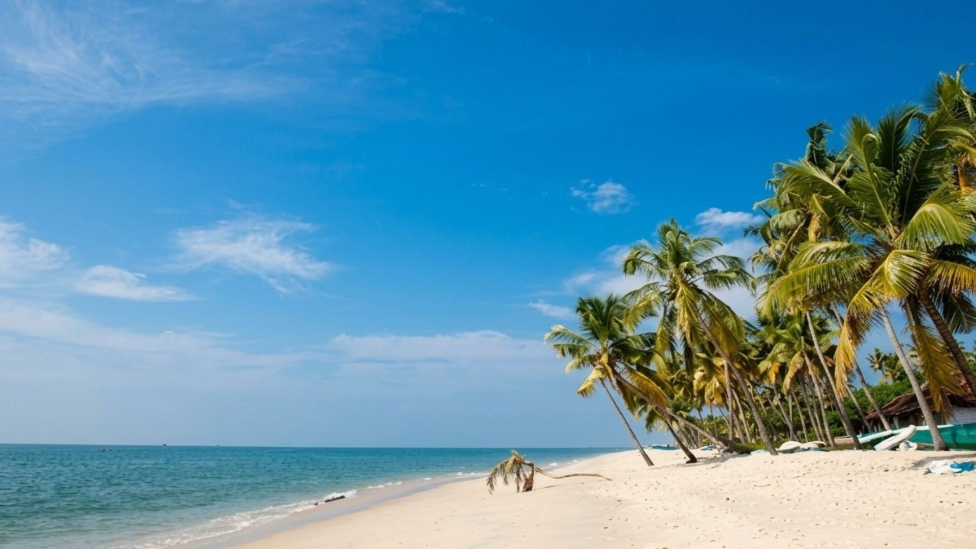 beaches-near-munnar